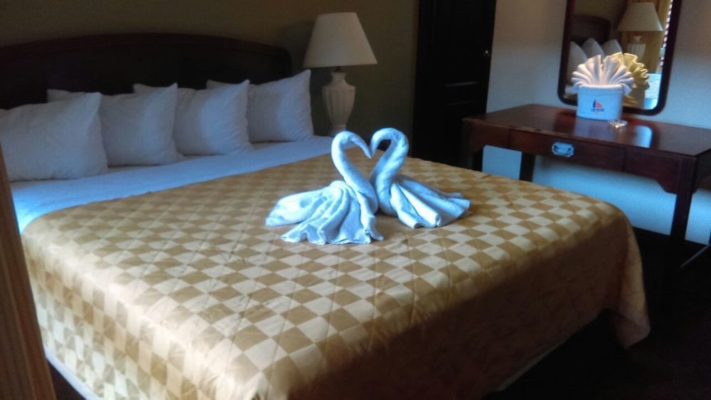 Hotel Los Altos ティファナ エクステリア 写真